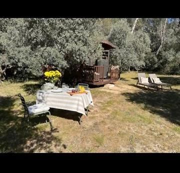 מלון Saint-Rémy-de-Provence Roulotte / Tiny House Dans Les Alpilles מראה חיצוני תמונה
